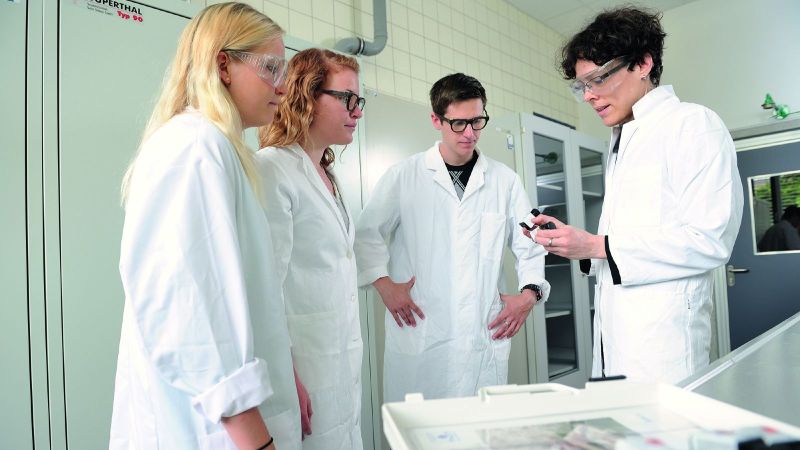 Das Bild zeigt vier Menschen bei der Forschung
