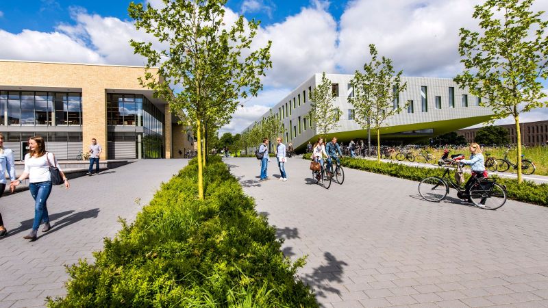 Das Bild zeigt die Hochschule Osnabrück und Studierende