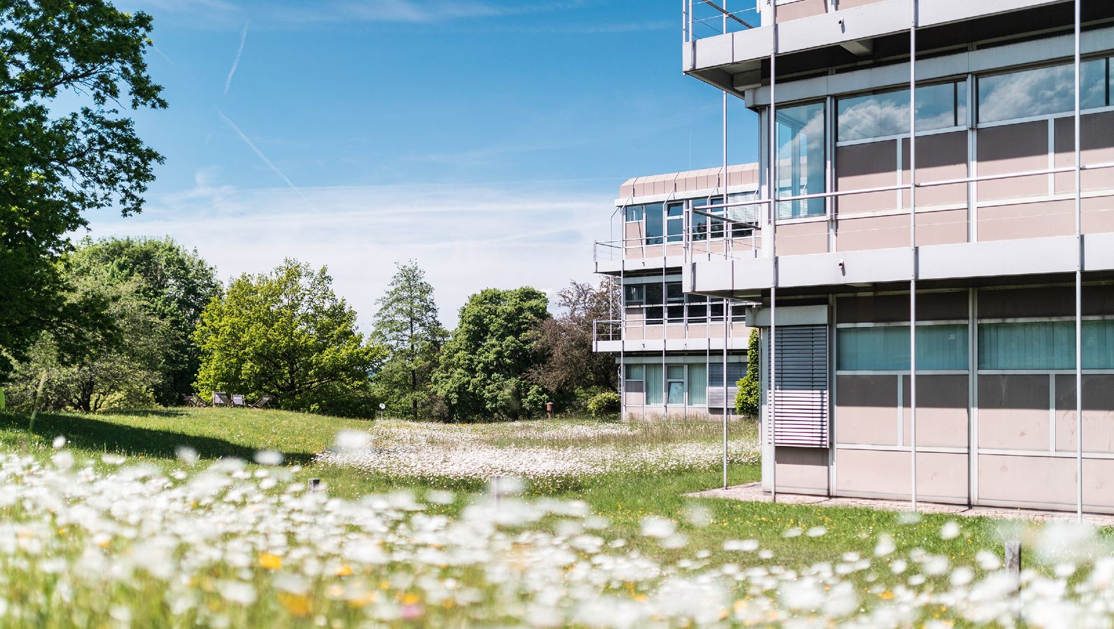Das Bild zeigt das Hauptgebäude der Hochschule